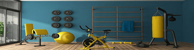 What Are The Advantages Of Buying Gym Equipment Online?