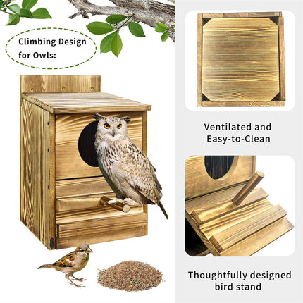 Owl Nesting Box Bird Feeder Paulownia Wood Acrylic