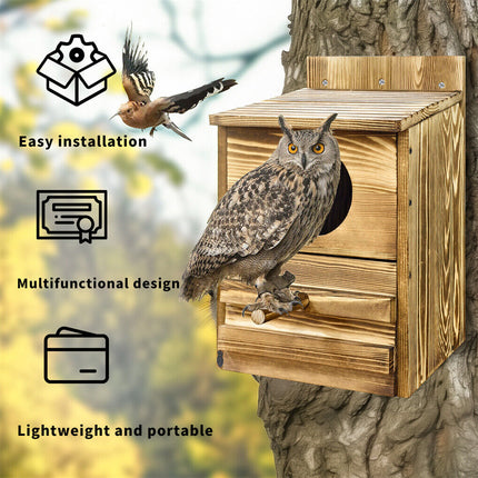 Owl Nesting Box Bird Feeder Paulownia Wood Acrylic