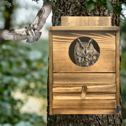 Owl Nesting Box Bird Feeder Paulownia Wood Acrylic