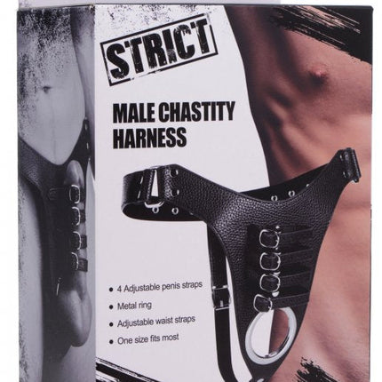 Strict Male Chastity Harness