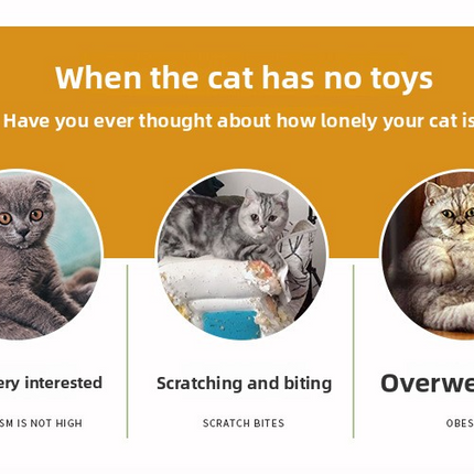 pet products Super Set (21 Pcs) - Cat Tunnel, Teaser, Mice, Jingle Balls, & Pom Poms. (Note: accessory colors are shipped randomly).