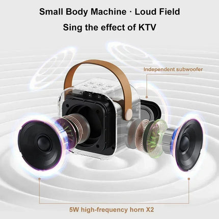 NNEOBA K12 Bluetooth Karaoke Machine