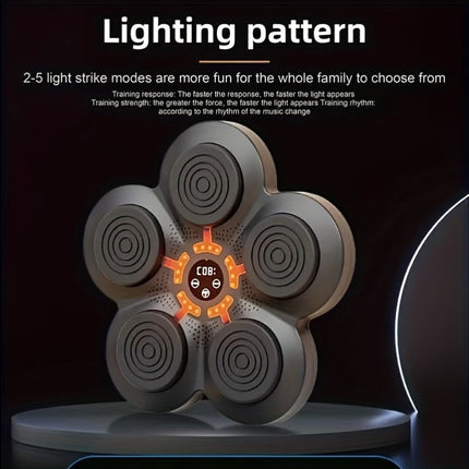 Boxing Training Kit With Reactive Led Wall Punching Target