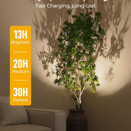 Spotlights Indoor, No-Glare Rechargeable Floor Can Light for Plants with Remote, Wireless Art Accent Spot Lights Uplight for Painting, Picture, Dartboard, Home, Corner Sofa Display