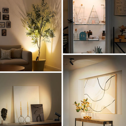 Spotlights Indoor, No-Glare Rechargeable Floor Can Light for Plants with Remote, Wireless Art Accent Spot Lights Uplight for Painting, Picture, Dartboard, Home, Corner Sofa Display