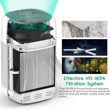 Air Purifier Dehumidifier Q10 HEPA Filter
