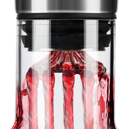 CARLA HOME Iceberg Wine Decanter with Aerator Filter and Lid