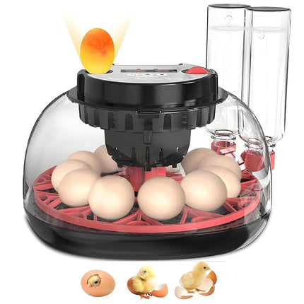CARLA HOME 12 Egg Incubator with Automatic Turning, LED Display, Humidity & Temperature Control, Auto Water System & Built-in Egg Candler for Chicken, Duck, Quail, Goose