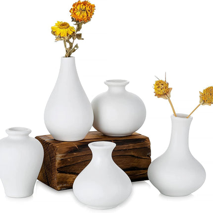 Ceramic Set of 5 White Vases for Home D�cor