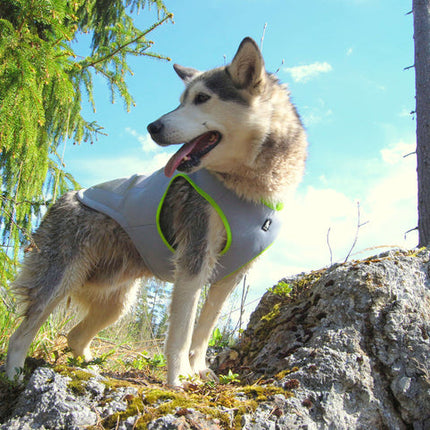 Cooling Vest Neon Yellow L