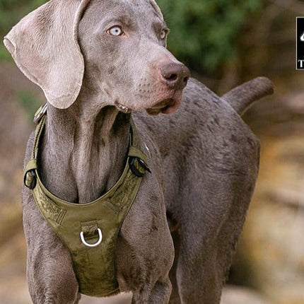 Lightweight Harness Army Green 2XS