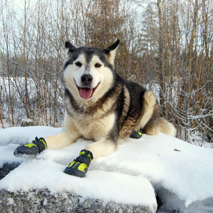 True Love Shoes Black Size 8
