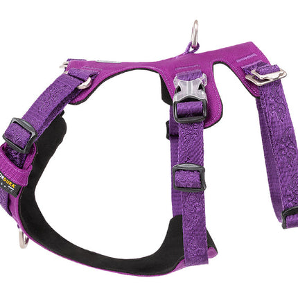 Whinhyepet Harness Purple S