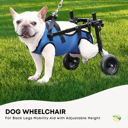 Rooster Farms Little Dog Wheelchair Medium Harness - Adjustable Back Leg Aid