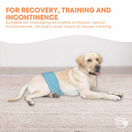 Rooster Farms Male Dog Diapers Small 3Pk - Washable Reusable Nappies Hook/Loop