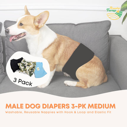 Rooster Farms Male Dog Diapers Medium 3Pk - Washable Reusable Nappies Hook/Loop
