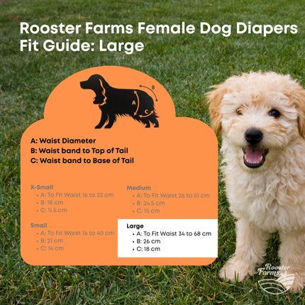 Rooster Farms Female Dog Diapers Large 3Pk - Washable Reusable Nappies Hook/Loop