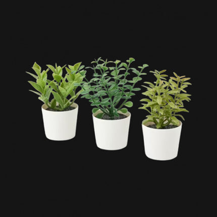 3 Pack of Artificial Herb Potted Plants in White Plastic 5cm Pot Interior Decoration