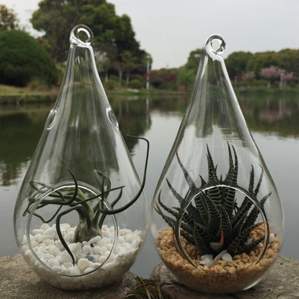 25 Bulk Pack of Hanging Clear Glass Tealight Candle Holder Tear Drop Pear Shape - 12cm High - Terrarium Plant Mini Garden Holder Decor