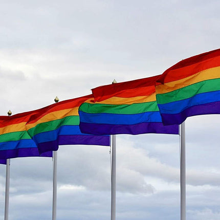 DELUXE RAINBOW GAY PRIDE FLAG Outdoor Banner 150x90cm 3x5ft with Metal Eyelets