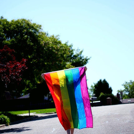 DELUXE RAINBOW GAY PRIDE FLAG Outdoor Banner 150x90cm 3x5ft with Metal Eyelets