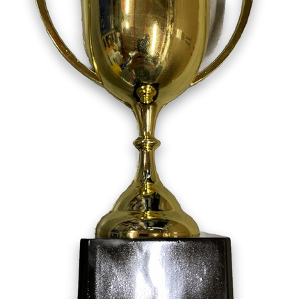 TROPHY CUP Sport Award Football School Table Tennis Gold Winner Achievement
