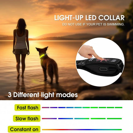 LED Dog Cat Collar USB Rechargeable Nylon Glow Flashing Light Up Safety Puppy