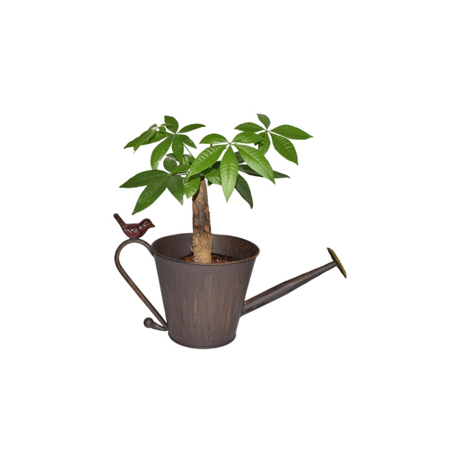 Watering Can Shape Potplanter w Yellow Flower 34cm