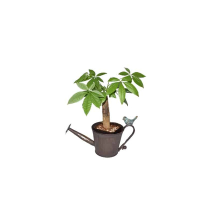 Watering Can Shape Potplanter w Blue Flower 28cm