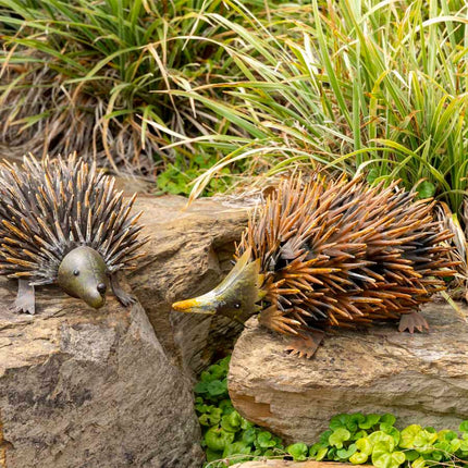 Rust Echidna Garden Ornament 36x22cm