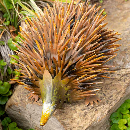 Rust Echidna Garden Ornament 36x22cm