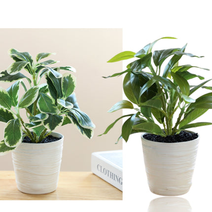 Set 2 Artificial Green Leaf in Pot Assort 28cm
