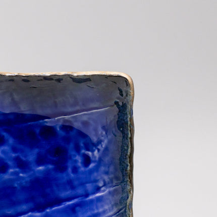Sushi Plate Swept Side 26cm Cobalt Dark Edge
