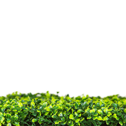Mixed Boxwood Hedge UV Resistant 75cm Long x 75cm High