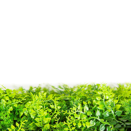 Mediterranean Fern Vertical Garden / Green Wall UV Resistant SAMPLE
