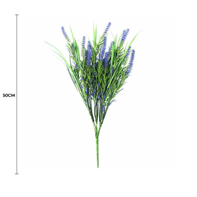 Long Stem Purple Lavender Plant 50cm UV Resistant