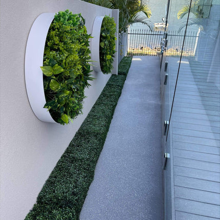 Portable Boxwood Hedge UV Resistant 25cm High 100cm Long