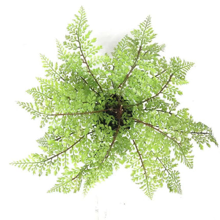 Faux Small Potted Fern 35cm