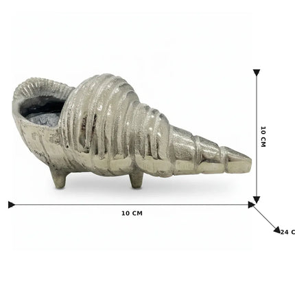 Conch