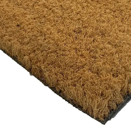 A House Is Not A Home Without A Dachshund Doormat