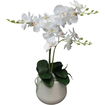 Orchid in Pot 62cm