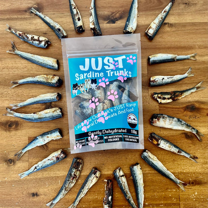 1x Just Sardine Trunks