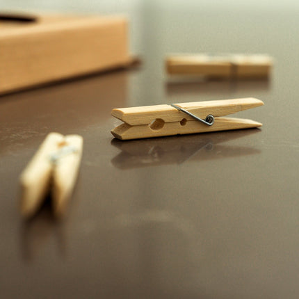 100 Pcs Eco Bamboo Clothes Pegs